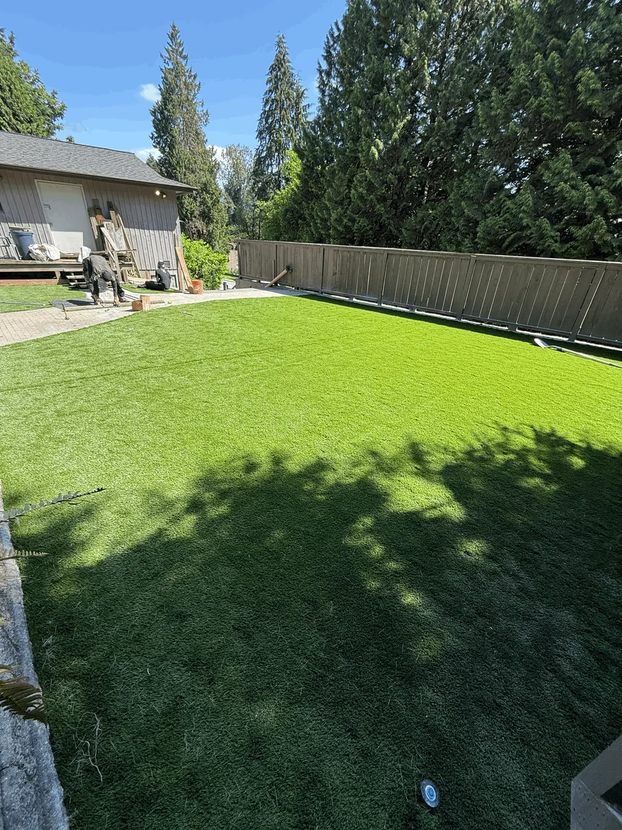 Freshly laid sod lawn enclosed by a black metal privacy fence.